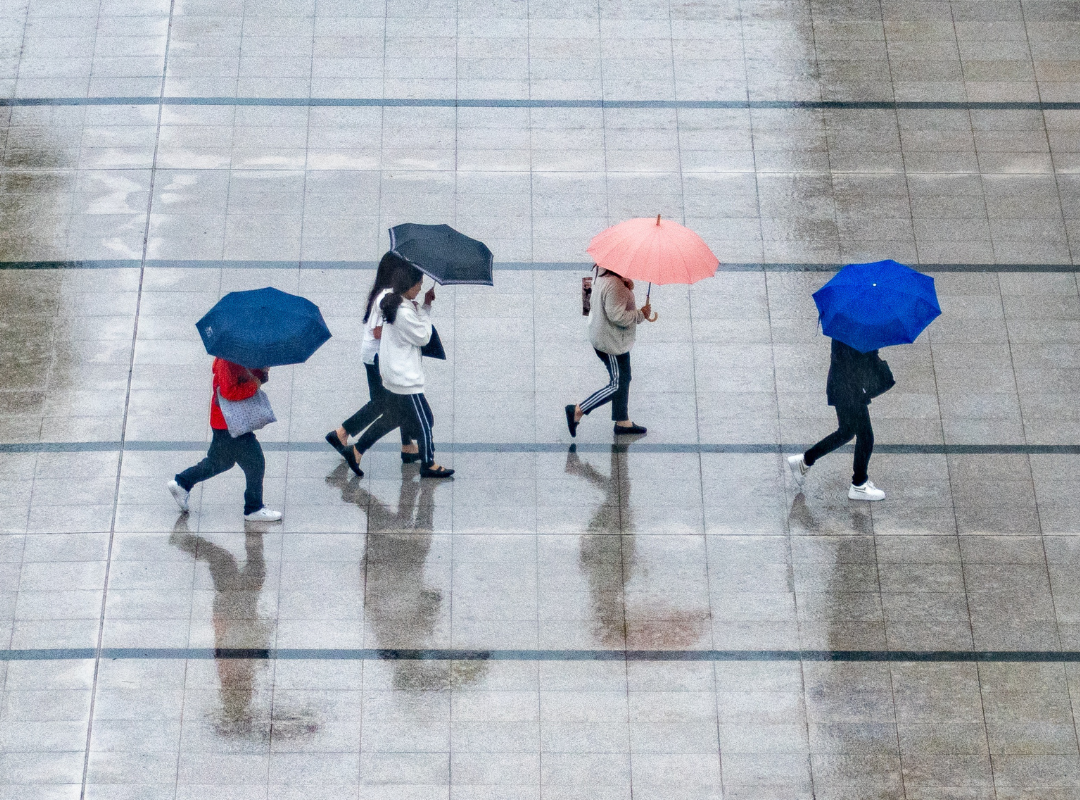 Bird's eye view of multiple people carrying different coloured umbrellas
