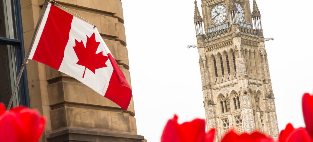 Canadian Flag waving in front of a legislative building with red tulips beneath it 