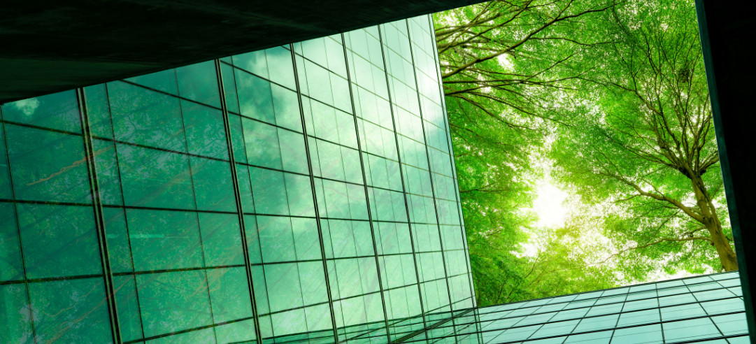 A view through a building's skylight to an opening in green trees