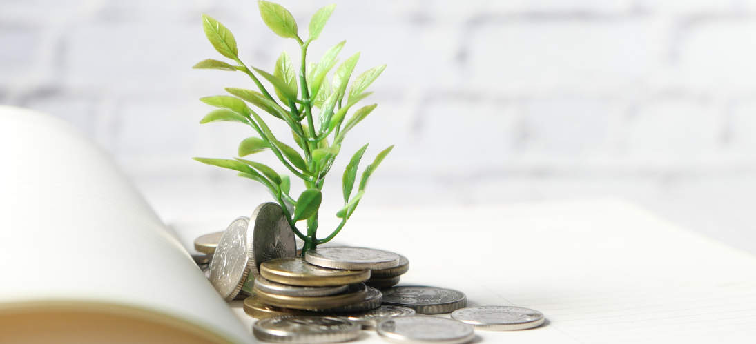 A small tree growing out of a pile of coins