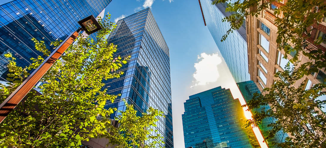 A sunny image of Calgary's financial district