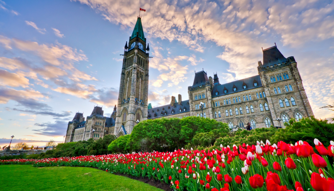 Canada's Parliament building with red and white tulips out front 